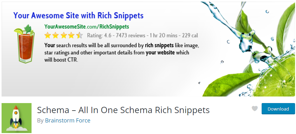 Rich Snippets Plugin 